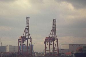 タテールのレンタルをおさがしなら